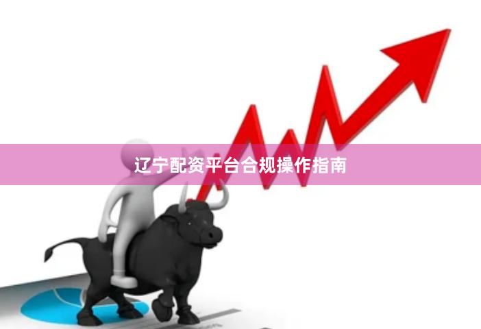 辽宁配资平台合规操作指南
